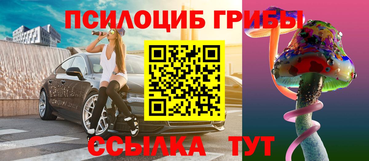 Псилоцибиновые грибы GOLDEN TEACHER Новодвинск