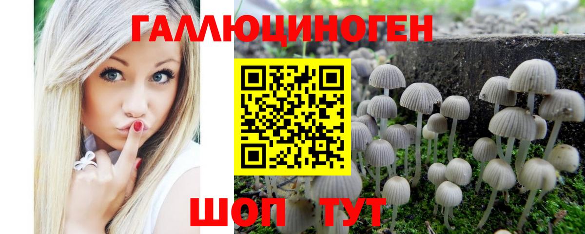 Псилоцибиновые грибы GOLDEN TEACHER  Вход с VPN  Новодвинск 